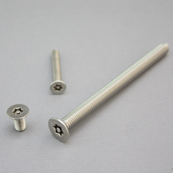 Flat Head (Torx Temper-Proof) Machine Screw